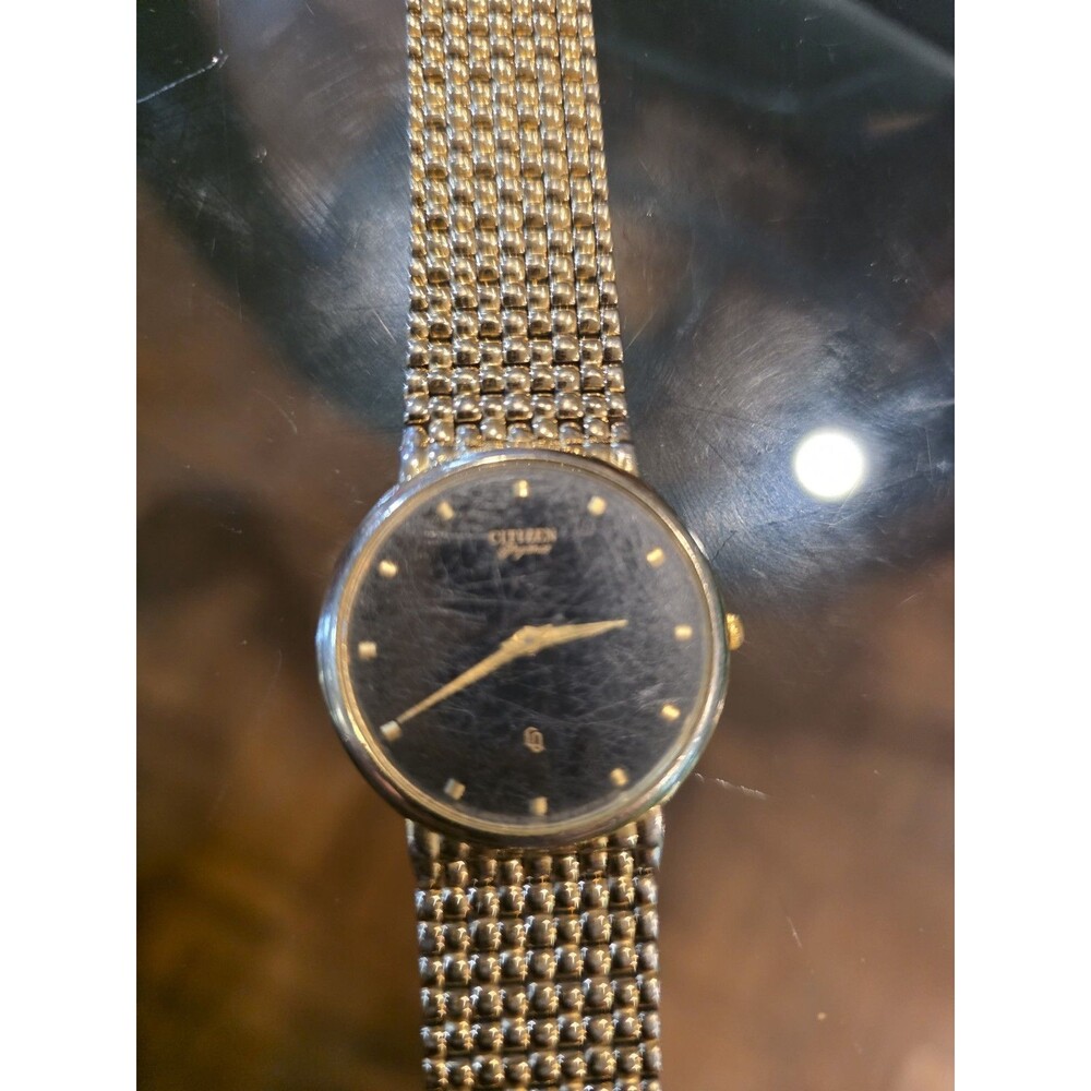 Gold-Tone Citizen Watch 1020-S54562 Black Dial